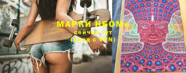 прущие грибы Приозерск