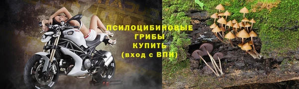 PSILOCYBIN Покров